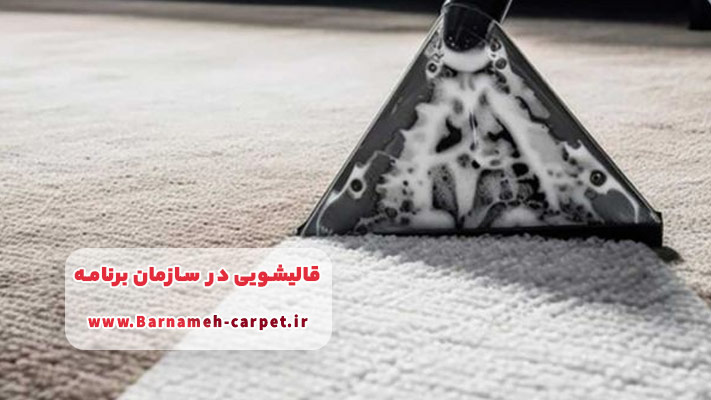 نانو شویی فرش و مبلمان در سازمان برنامه
